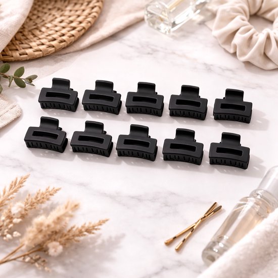 Vavida Mini Haarklemmen - Set 10 Stuks - Zwart - 2,5 cm - Kleine Haarclips - Cadeauverpakking